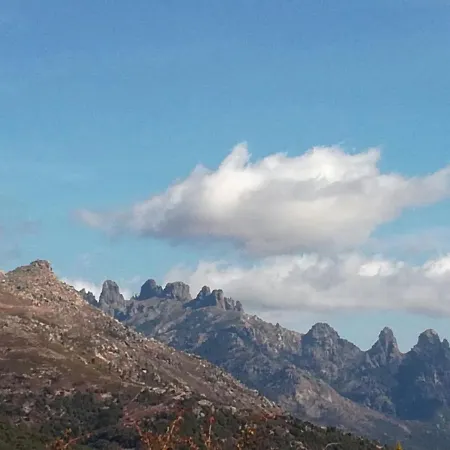 Apartment Belvedere De *