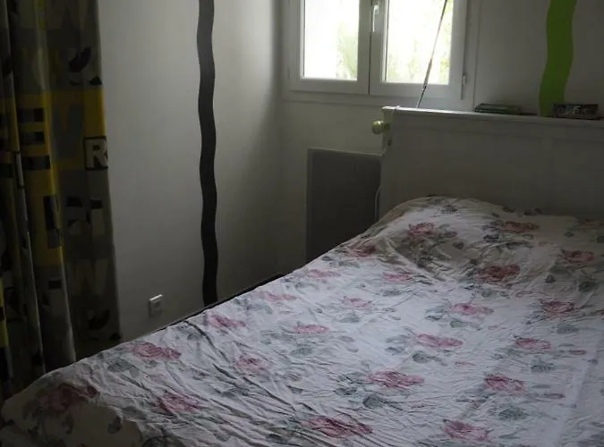 Belvedere De * 萨尔泰纳