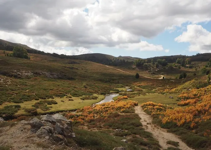 Belvedere De * 萨尔泰纳