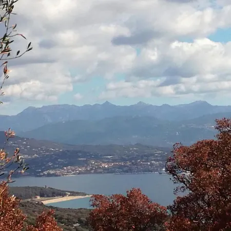 Belvedere De *