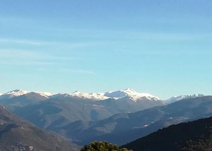 Belvedere De